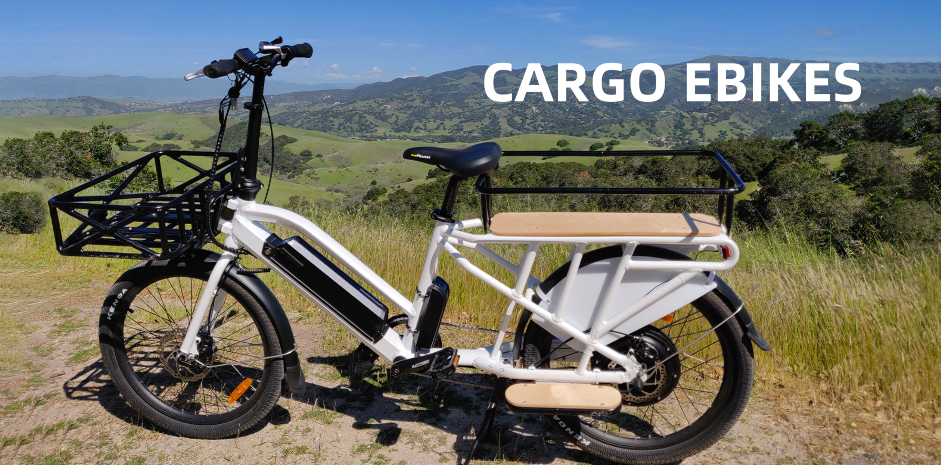best cargo ebike for sale