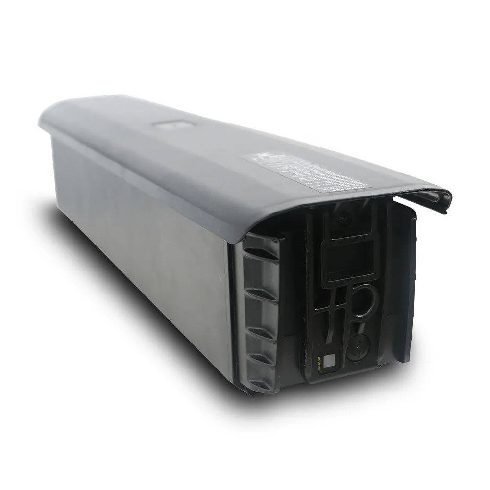 SPECTER Ebike Replace Battery — photo 1
