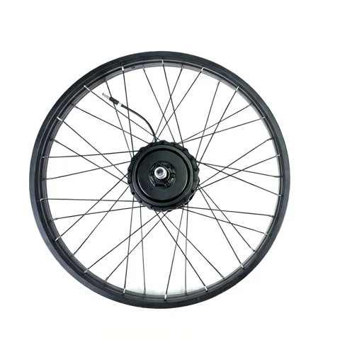 Eunorau AWD2.0/3.0 Rear wheel
