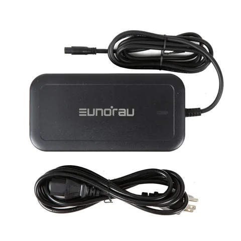 52V4A 1.0 US/CA FLASH Ebike Charger