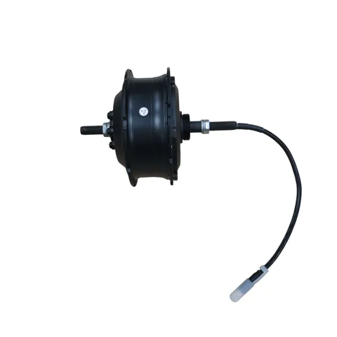 Eunorau MAX-CARGO QS Motor