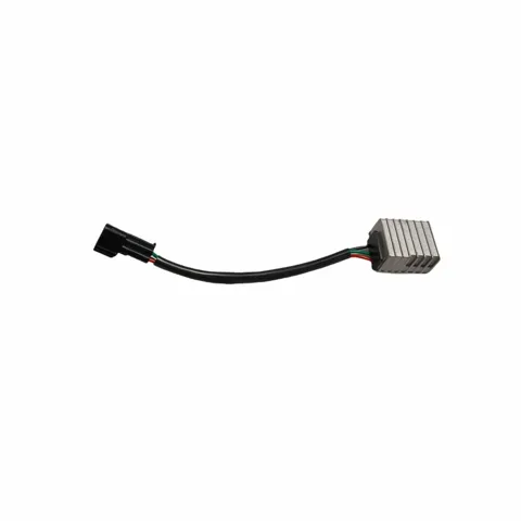 Eunorau R1 DC Voltage Converter